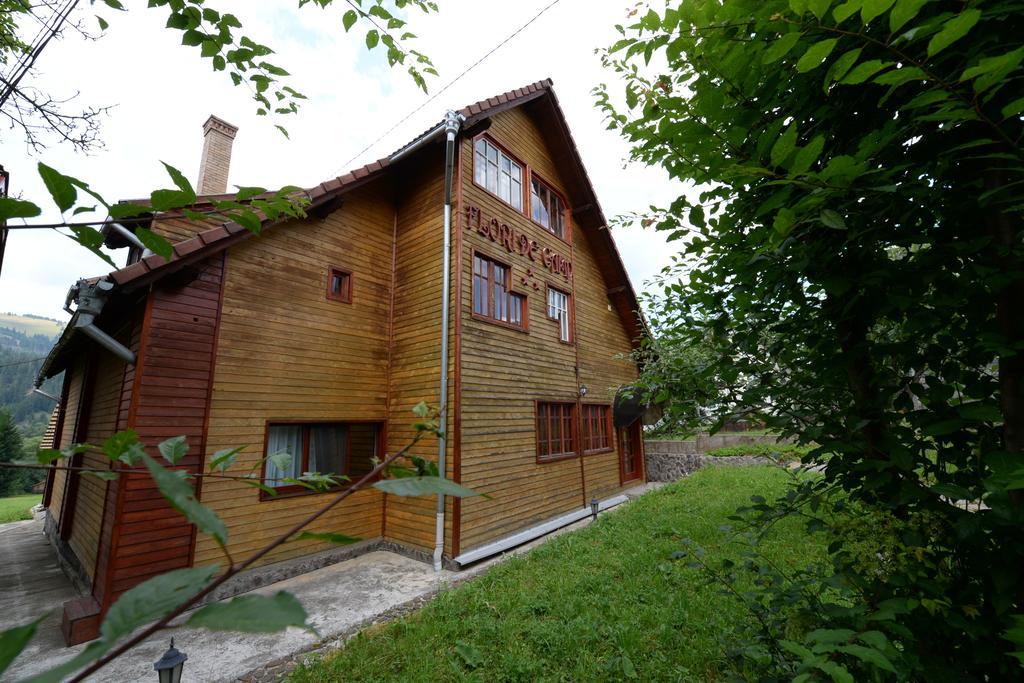 Pensiunea Flori De Camp Vatra Dornei Exterior photo