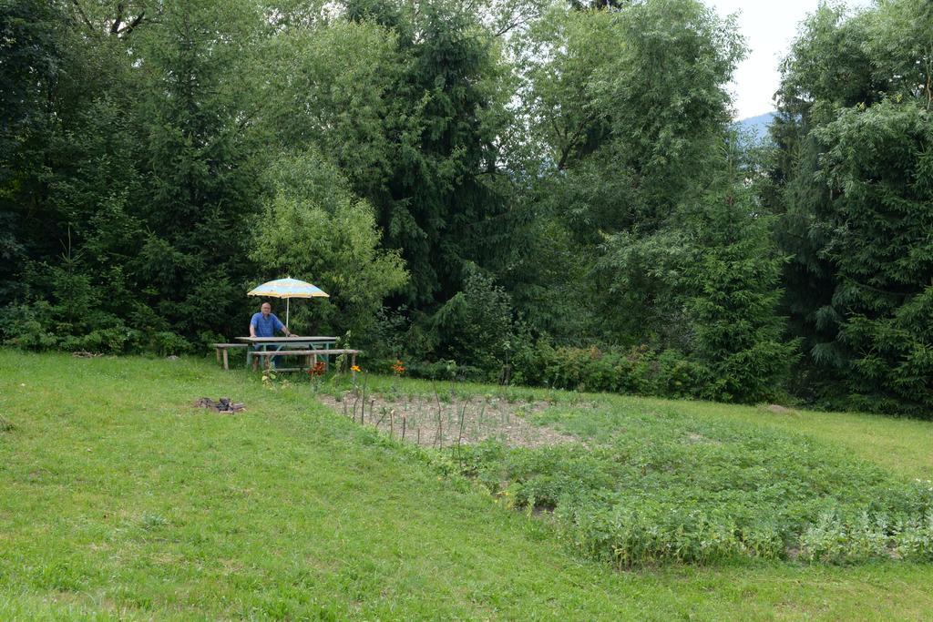 Pensiunea Flori De Camp Vatra Dornei Exterior photo