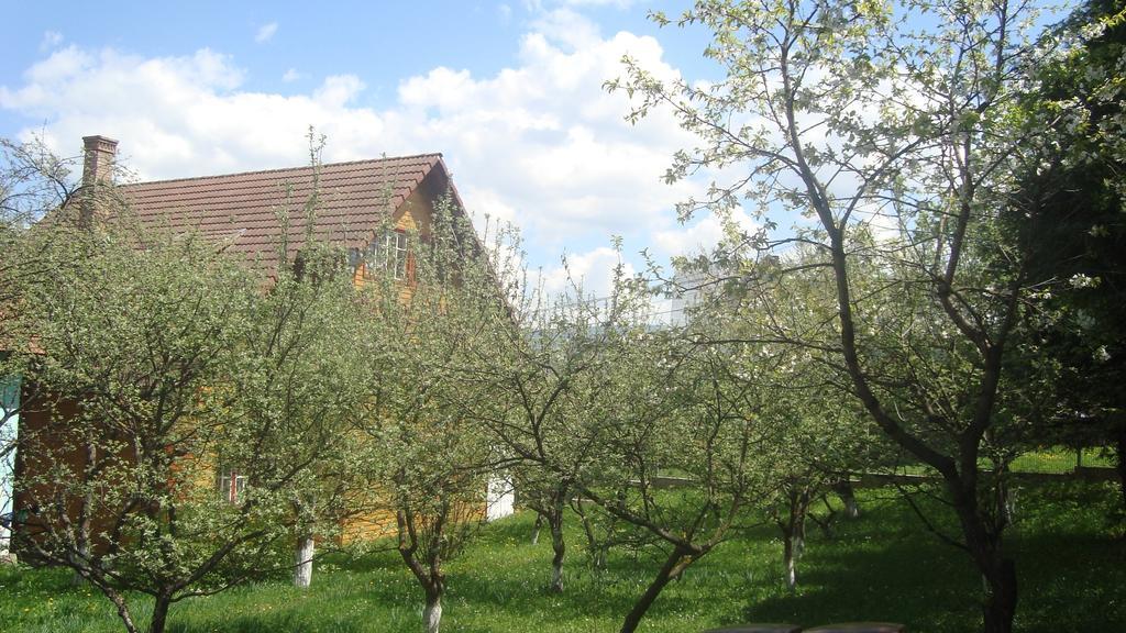 Pensiunea Flori De Camp Vatra Dornei Exterior photo