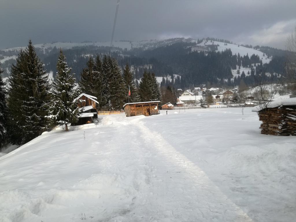 Pensiunea Flori De Camp Vatra Dornei Exterior photo